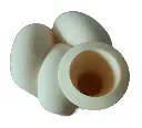 télécharger (3).webp