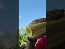 youtube - [Video]
